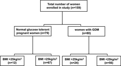 Effect of maternal body mass index on the steroid profile in women with gestational diabetes mellitus